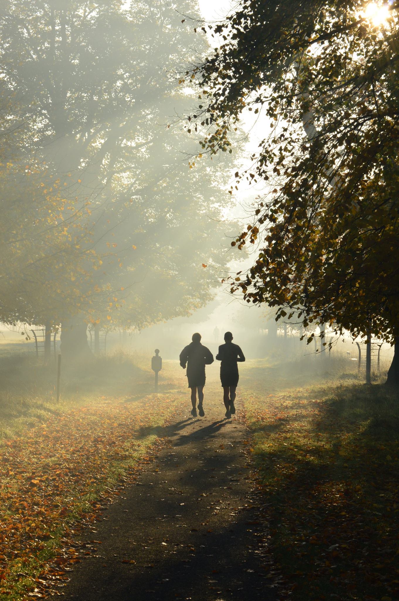 Runners in silhouette